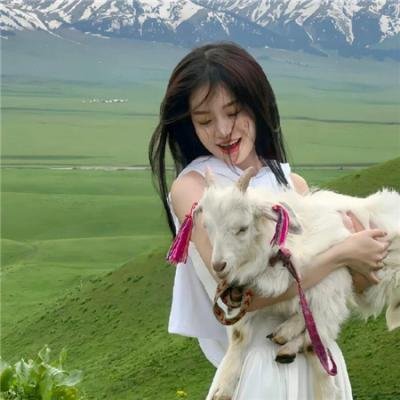 高分少女第二季