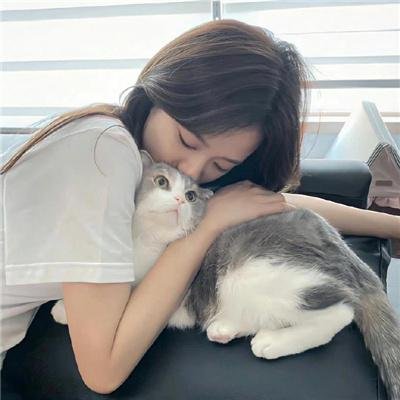 倾城歌手